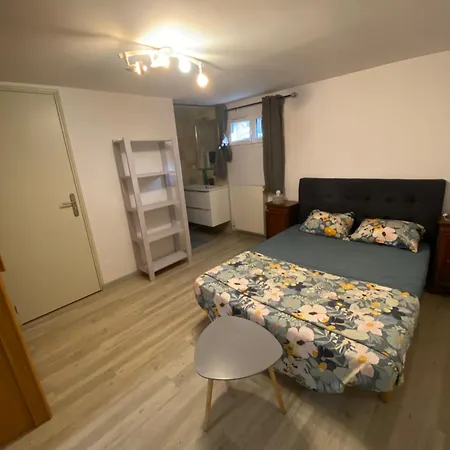 Sejour Chaleureux A Avec Terrasse, A Deux Pas De Lyon * Vaugneray
